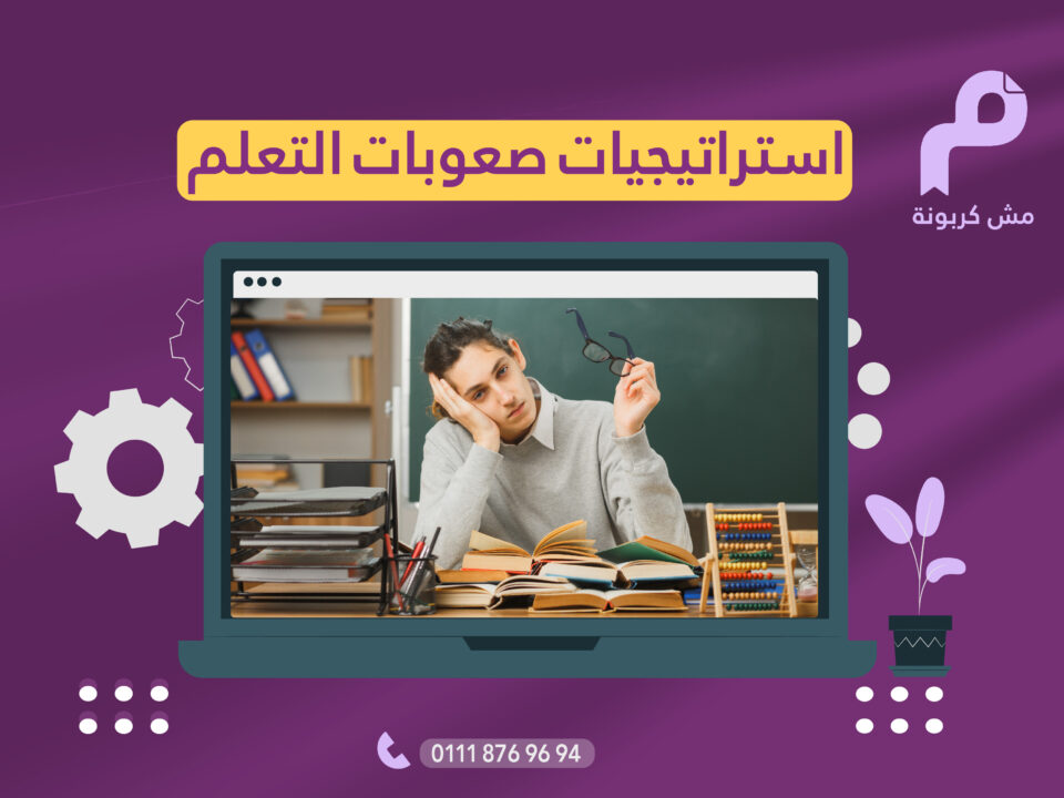 حقيبة صعوبات التعلم